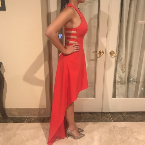 Beautiful BCBGMaxazria Rosalyn Dress. Sz 10 - Picture 7 of 7